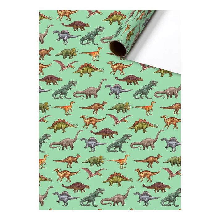 Cadeaupapier 70 cm – Dino's Mintgroen met verschillende dinosaurussen op mintgroene achtergrond – Liefs en Lintjes