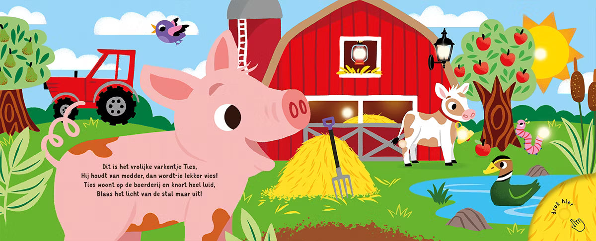Slaap lekker, kleintje – Op de boerderij kinderboek met lichtjes – Liefs en Lintjes