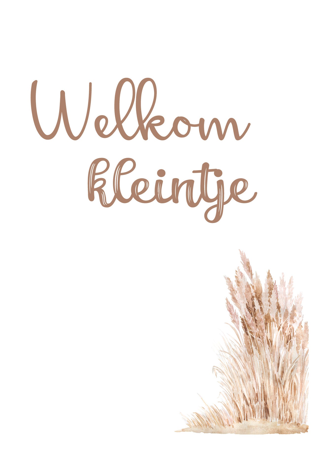 Kaart Welkom kleintje met pluimen illustratie – Liefs en Lintjes