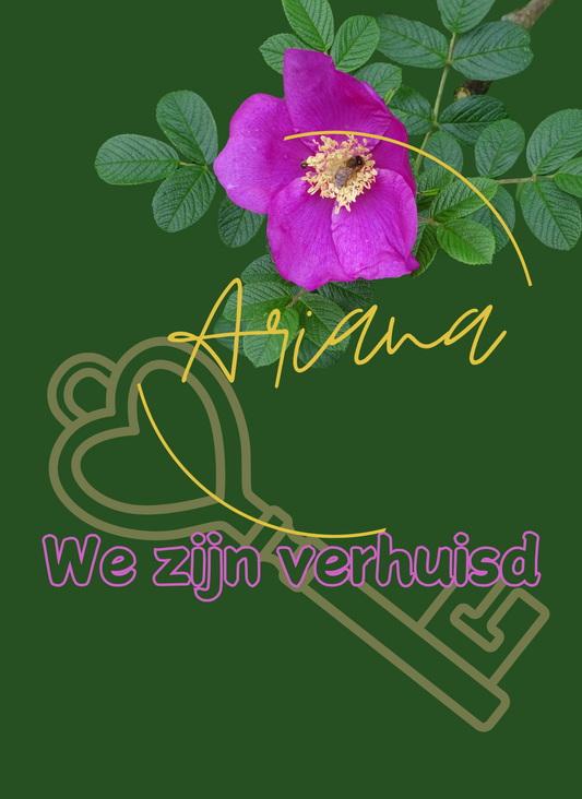Kaart We zijn verhuisd