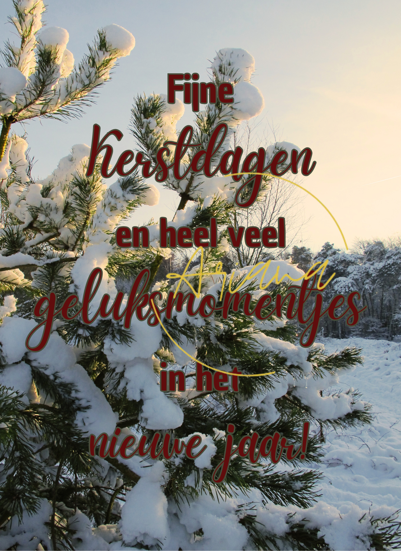 Kaart - Fijne kerstdagen en heel veel geluksmomentjes