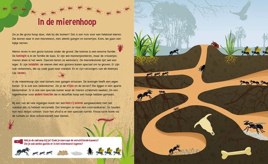 Speuren onder de grond
