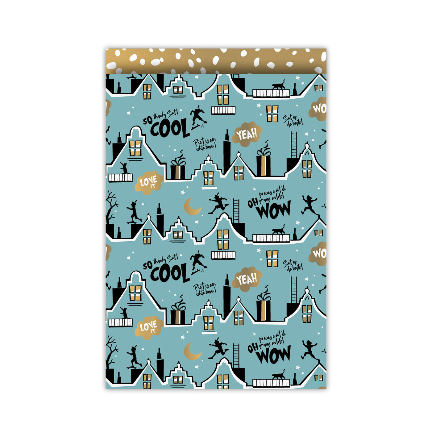 Cadeauzakjes - cool sint - petrol L
