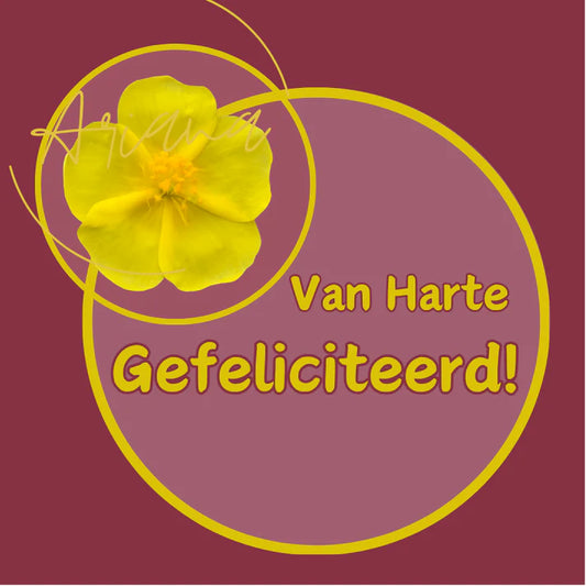 Vierkant cadeaukaartje Gefeliciteerd met gele bloem van Ariana House of Cards - Liefs en Lintjes.