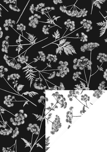 Cadeaupapier met gedetailleerde witte bloemen op zwarte achtergrond, met een witte bloemenprint aan de binnenzijde – 50 cm breed, 2 meter lang.