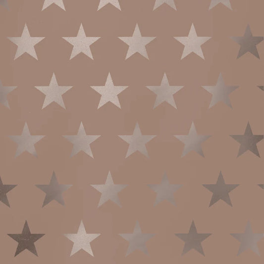 Cadeaupapier 70 cm – Stars Rosé met glanzende rosé sterren op lichte achtergrond – Liefs en Lintjes