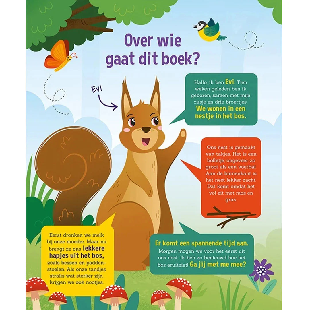 Speuren in het bos kinderboek met kartonnen zaklamp – Liefs en Lintjes