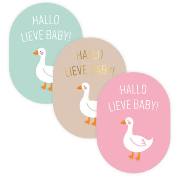 Stickers Hallo Lieve Baby (Ovaal, Set van 12, 3 Kleuren) – Liefs en Lintjes