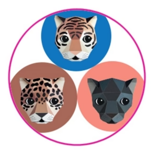 Sticker set dierenkoppen van tijger, jaguar en panter – Liefs en Lintjes – 50mm – 12x